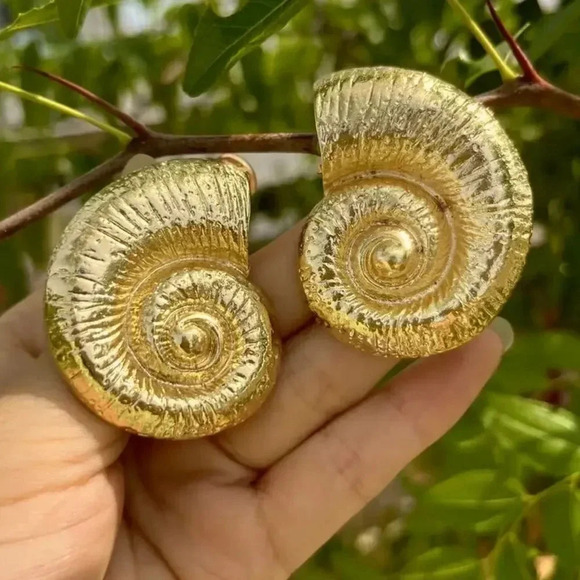 Zara Golden Seashell Earrings - Picture 9 of 17